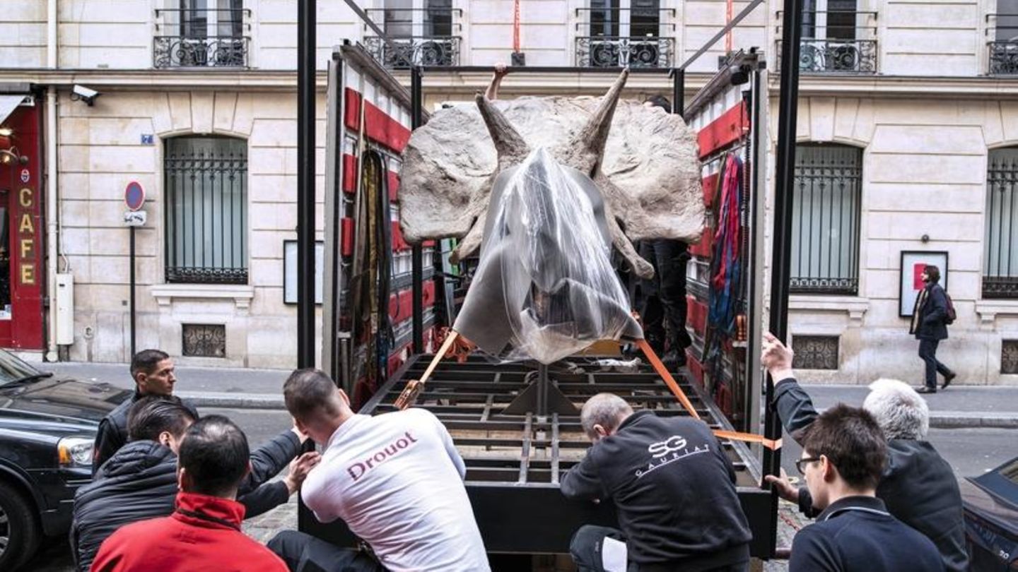 Kopf eines Triceratops