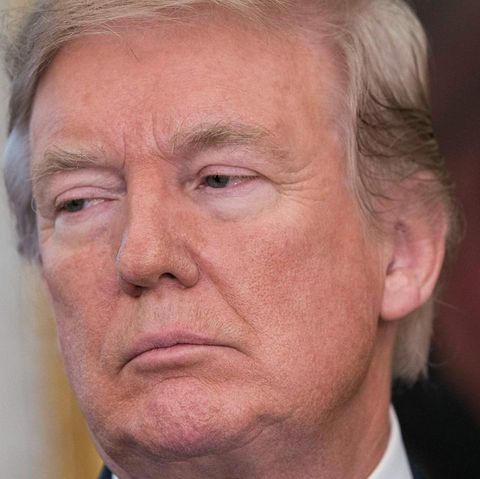 Michael Flynn (l.) und Donald Trump