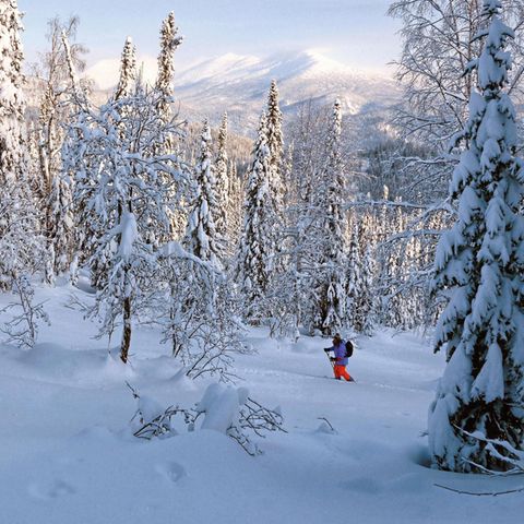 Skitouren in Sibirien