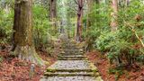 Kumano Kodo, Wanderweg