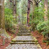 Kumano Kodo, Wanderweg
