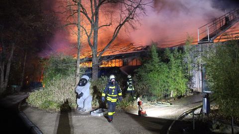 Die Feuerwehr im Einsatz am Krefelder Affenhaus