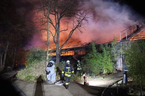 Die Feuerwehr im Einsatz am Krefelder Affenhaus