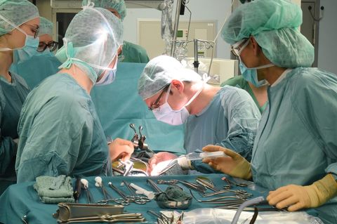 Bundestag debattiert über Neuregelung der Organspende