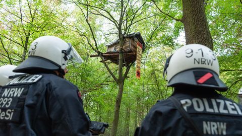 Zwei Polizisten in dunkelblauer Schutzkleidung und weißen Helmen stehen in einem Wald. In einem der Bäume ist ein Baumhaus