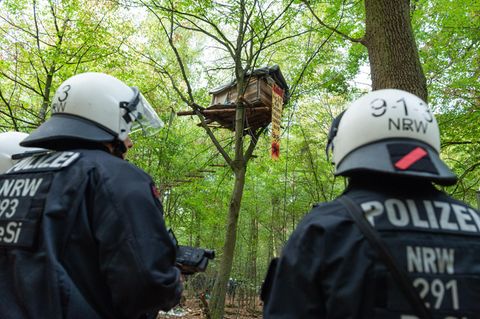 Zwei Polizisten in dunkelblauer Schutzkleidung und weißen Helmen stehen in einem Wald. In einem der Bäume ist ein Baumhaus