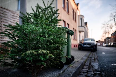 Ein ausrangierter Weihnachtsbaum liegt neben Mülltonnen auf dem Fußweg an einer Straße