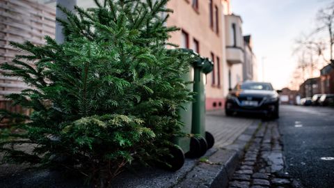 Ein ausrangierter Weihnachtsbaum liegt neben Mülltonnen auf dem Fußweg an einer Straße