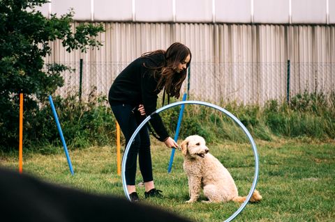 Die Hundeschule "Fundogkids" macht aus Kids und Hunden echte Teams