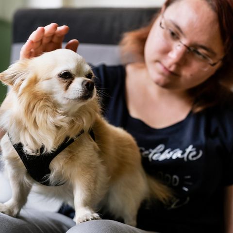Deutschlands kleinster Therapiehund kann Tränenflüssigkeit wittern