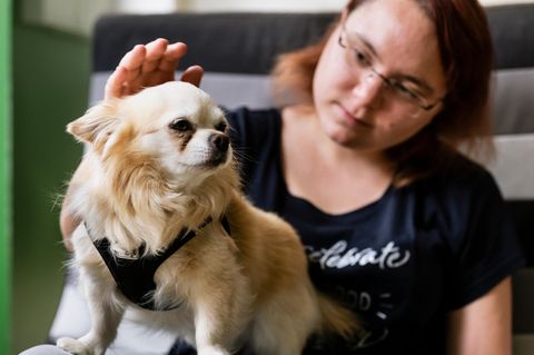 Deutschlands kleinster Therapiehund kann Tränenflüssigkeit wittern