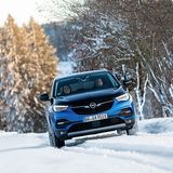 Der Opel Grandland X Hybrid4 erreicht nach 6,1 Sekunden die 100 km/h Marke