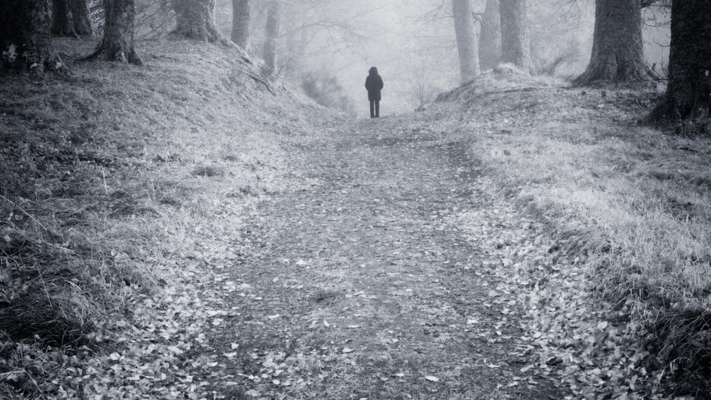 Person auf einem nebligen Waldweg