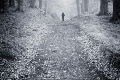 Person auf einem nebligen Waldweg