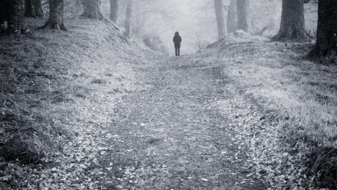Person auf einem nebligen Waldweg