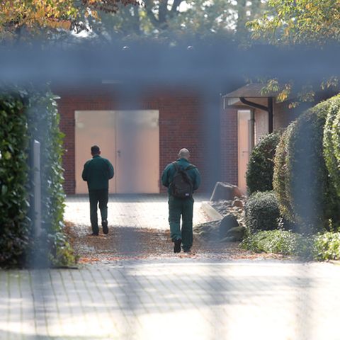 LPT-Tierversuchslabor in Mienenbüttel bei Hamburg; Versuchsaffe