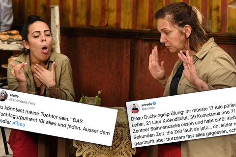 Dschungelcamp: Danni Büchner trinkt Kuh-Urin auf ex – und Twitter zieht Pornofilm-Vergleiche