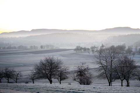 Wetter in Deutschland: Landschaft mit Raureif