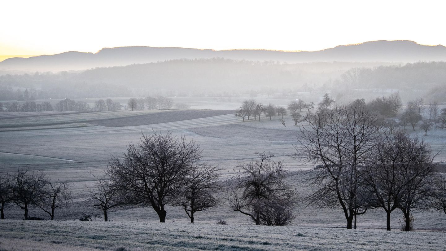 Wetter in Deutschland: Landschaft mit Raureif