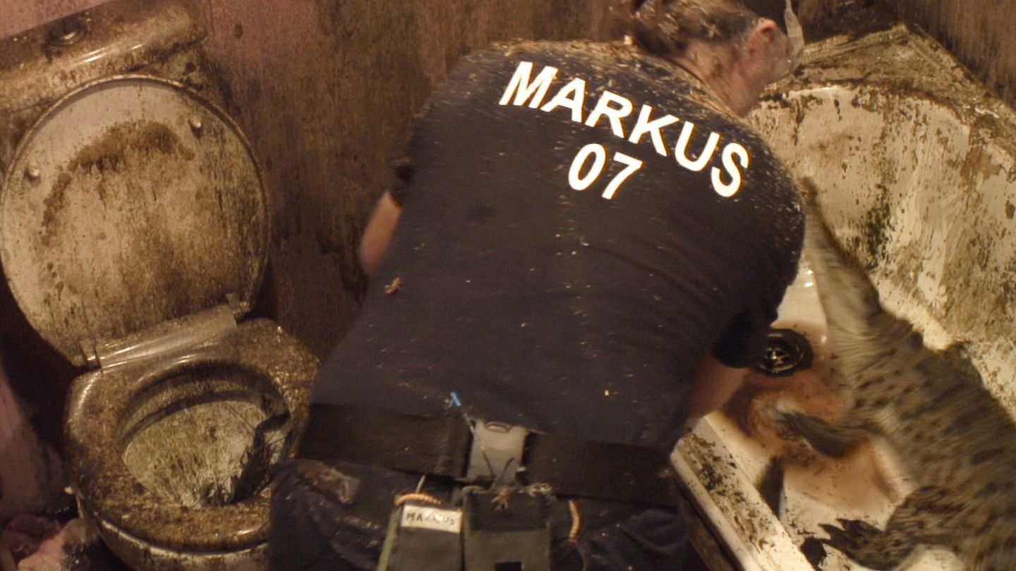 Dschungelcamp: Markus Reinecke