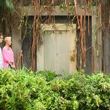 Dschungelcamp: Markus Reinecke