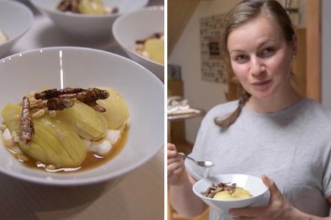 Anja Sieghartsleitner