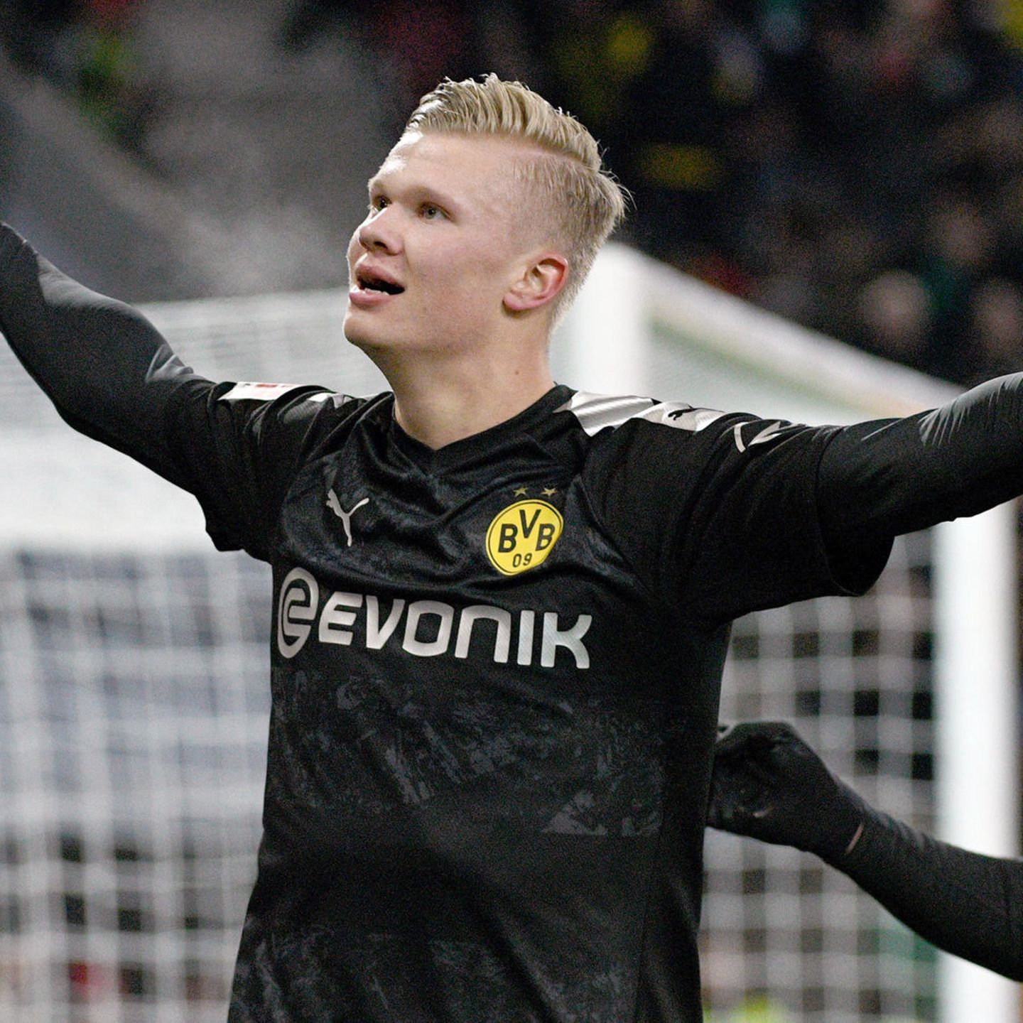 Erling Haaland Dem Bvb Ist Ein Haaland Geboren So Feiert Twitter Dortmunds Neuen Superstar Stern De