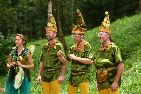 Dschungelcamp 2020