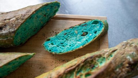 Blaues Brot aus Algen: Dieses Brot ist nicht verschimmelt – und die Nahrung der Zukunft?