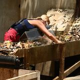 Dschungelcamp: Claudia Norberg