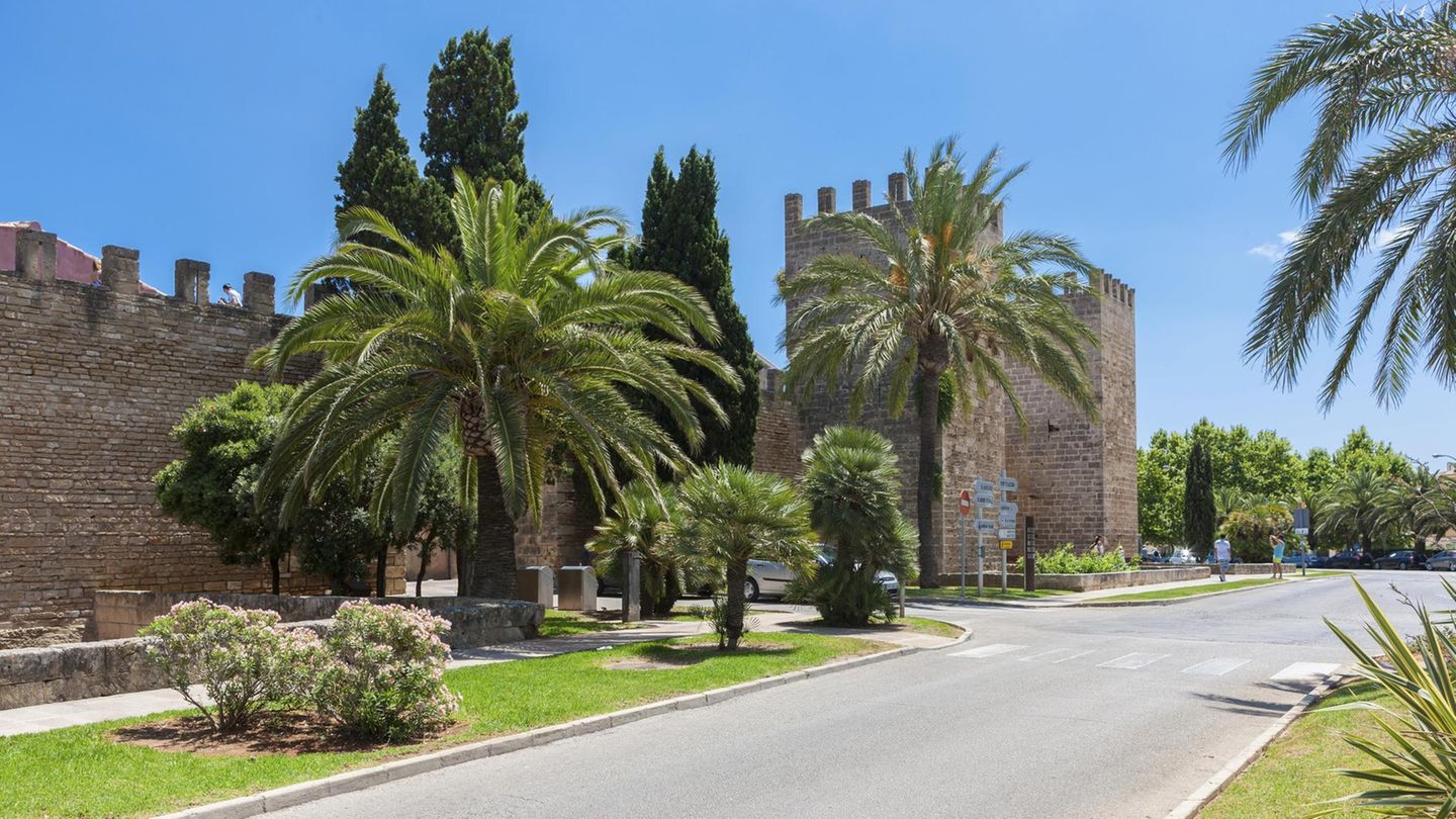 alcudia