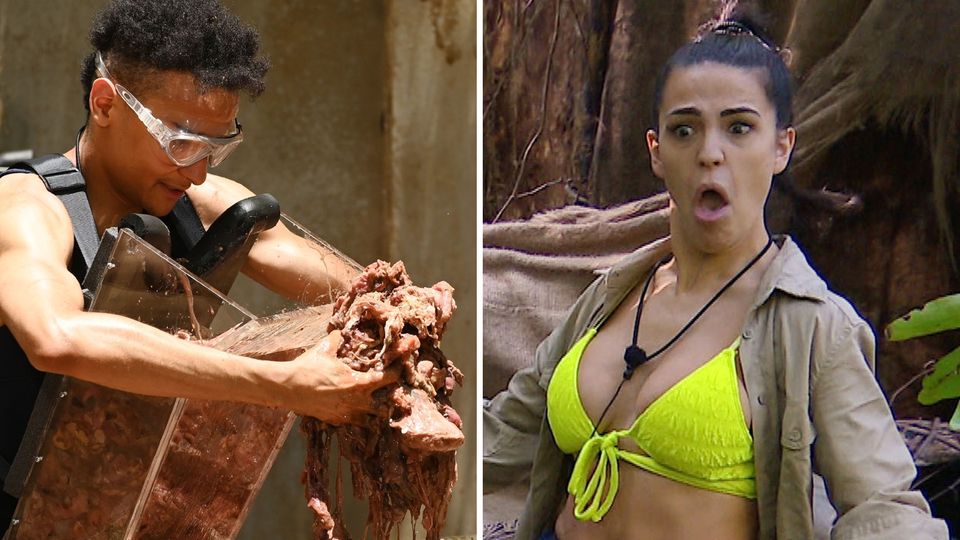 Dschungelcamp: CLAUDIA UND PRINCE DAMIEN WÜHLEN IM "WÜRG-STOFFCENTER" IM MÜLL UND HOLEN SECHS STERNE!