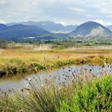 Mallorca, Menorca, Ibiza, Formentera: Bekämpfung invasiver Arten in Feuchtgebieten  Unter invasiven Tierarten leidet die Vielfalt von Flora und Fauna in den Feuchtgebieten der Balearen. Deshalb ist es Ziel dieses Projekts, die natürliche Umwelt zu schützen und die ursprünglichen Ökosysteme wiederherzustellen. Kosten: 332.210 Euro.