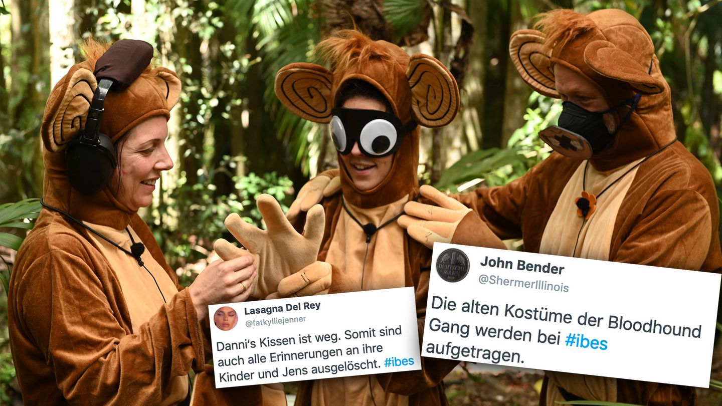 Dschungelcamp 2020 Alle Auf Zucker Und Das Luxusleben Hat Ein Ende Stern De