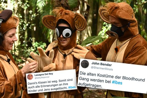 Dschungelcamp, Tag 12: Das Netz freut sich über Affenkostüme.
