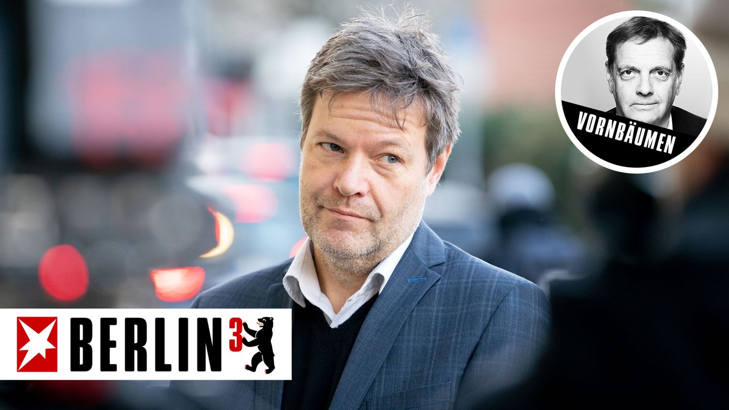 Robert Habeck, Bundesvorsitzender von Bündnis 90/Die Grünen