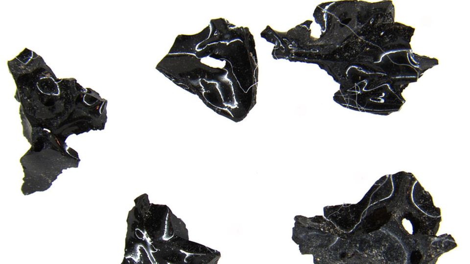 Pompeji : Aus diesen Glasursplittern hoffte Petrone, DNA gewinnen zu können. Aus diesen Glasursplittern hoffte Petrone, DNA gewinnen zu können.