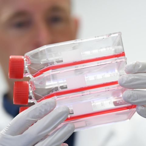 Coronavirus Deutschland