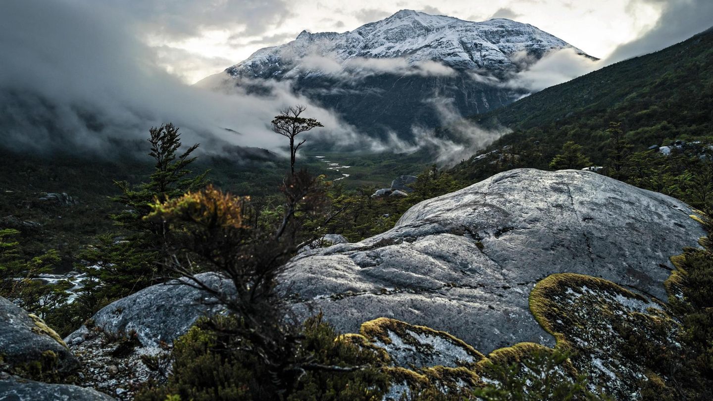 Kletter-Expedition im Nördlichen Patagonischen Inlandeisfeld mit den Bergführern Jörn Heller, Andreas Thomann und Robert Jasper, auf den Nef Gletscher, Erkundung der Zustiege und die zweite Besteigung vom Cerro Largo 2705 m, Basislager im Vall de Soler,... Das Val Soler