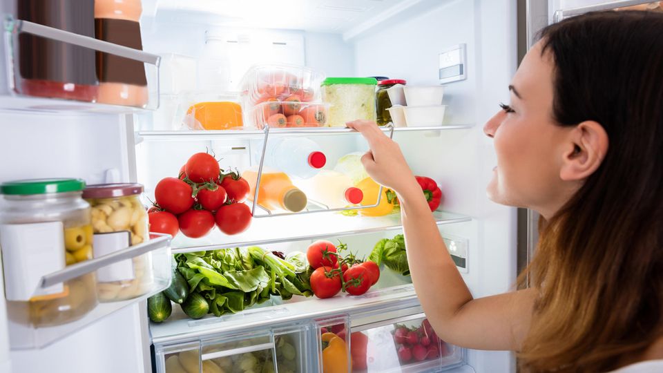 Ein Kühlschrank ist unverzichtbar, es ist aber nicht so leicht, den richtigen zu finden.