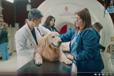 Werbespot beim Super Bowl