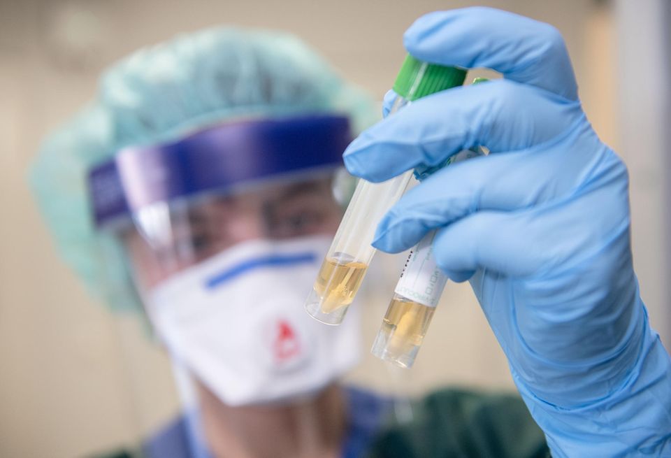 Quarantäne bei Coronavirus - die wichtigsten Informationen Coronavirus: Nachweislich infizierte Personen müssen isoliert behandelt werden