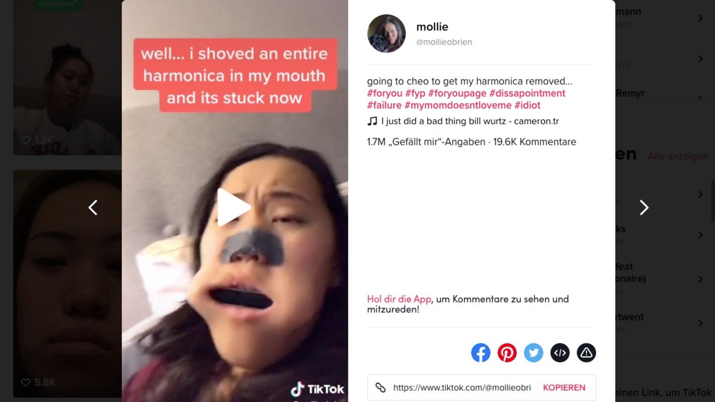 Mollie hat eine Mundharmonika quer im Mund