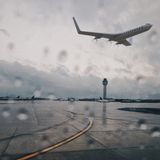 Die Flügel sind extrem weit hinten angesetzt.