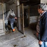 09.	Hans-Dieter Beil und seine Familie im Pferdestall seines Hofes in Jahrsdorf