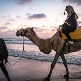 Eine Uni-Absolventin reitet auf einem Kamel