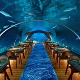 Malediven: Hurawalhi Island Resort  Es geht zwar nicht ganz zum Mittelpunkt der Erde, aber immerhin knapp 6 Meter unter den Meeresspiegel: In dieser Tiefe speist man im piekfeinen Hurawalhi-Resort auf den Malediven. Auf den Tellern werden erlesenste Köstlichkeiten des Meeres serviert, während sich rings um den mitten ins Korallenriff gebauten Glastunnel quicklebendige Meeresbewohner in allen Farben, Größen und Formen tummeln. Und wenn es oben Nacht wird, fühlt man sich vollends wie in einer geheimnisvollen Unterwasserwelt direkt aus einem Abenteuer von Jules Verne.