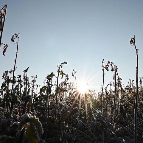 Der Januar 2020 war der wärmste seit Beginn der Wetteraufzeichnungen.