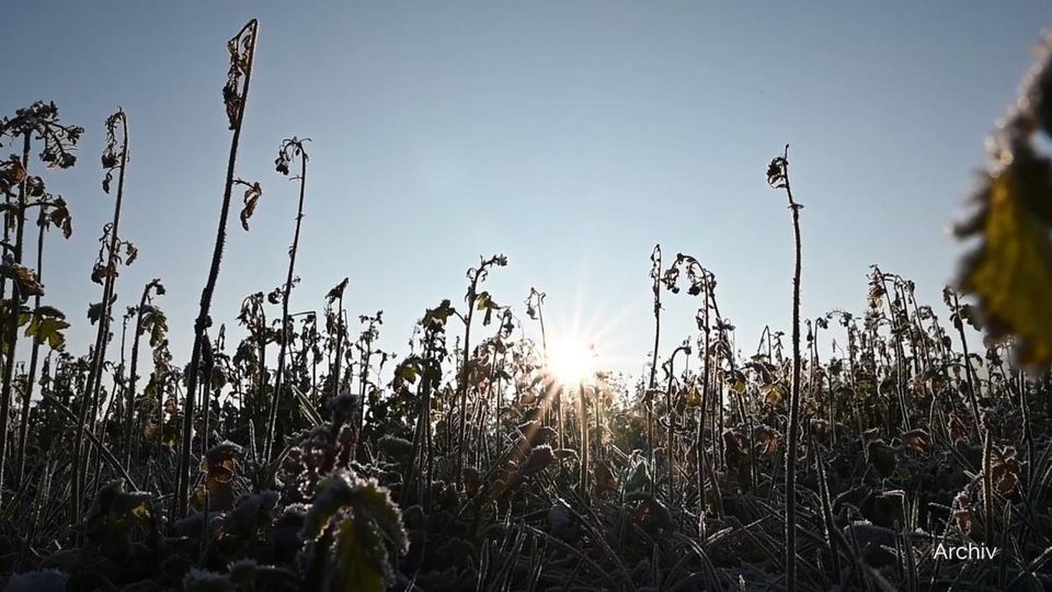 Der Januar 2020 war der wärmste seit Beginn der Wetteraufzeichnungen.
