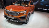 Skoda Vision IN